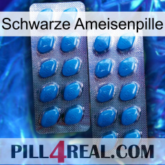 Black Ant Pill viagra2